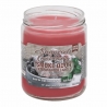 CANDLE JAR CREAMY VANILLA 13OZ