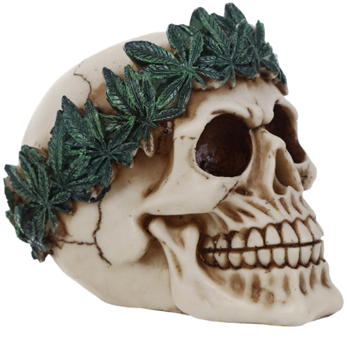 TÊTE DE MORT EN RÉSINE