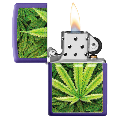 ZIPPO CONCEPTION CANNABIS