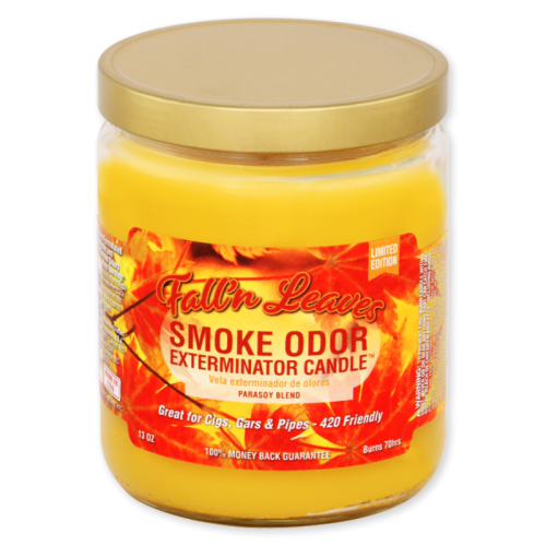 13OZ CANDLE JAR - FALL'N LEAVES