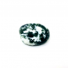 MOSS AGATE TUMBLED