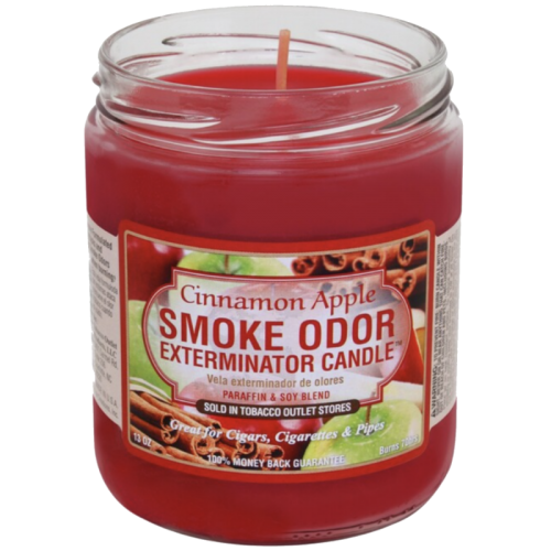 13OZ CHANDELLE - CINNAMON APPLE