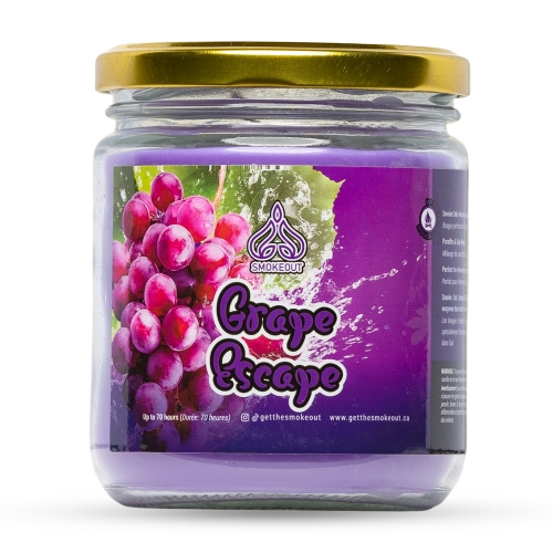 13OZ CHANDELLE SMOKEOUT - RAISINS EN FOLIE