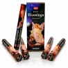 (X6) 20G ENCENS HEM - DIVINE BLESSINGS