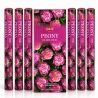 (X6) 20G ENCENS HEM - PEONY