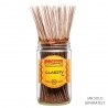 (x100) Encens WildBerry