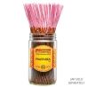 (x100) WildBerry Incense