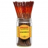(x100) Encens WildBerry