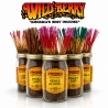 (x100) Encens WildBerry