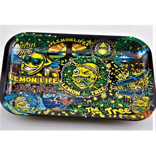 TRAY MEDIUM Pokemon Backwoods