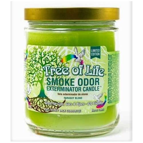 13OZ CANDLE JAR - TREE OF LIFE