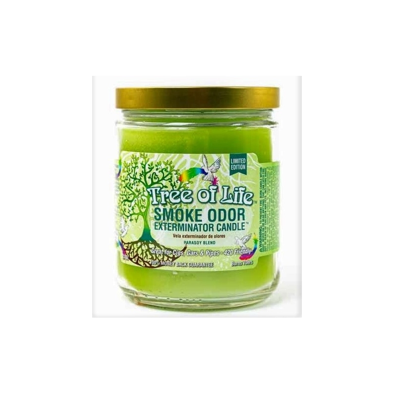 CANDLE JAR HALF BAKED 13OZ