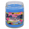 CANDLE JAR COCONUT GROOVE 13OZ