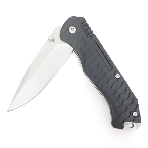 Assisted Open Folding Knife